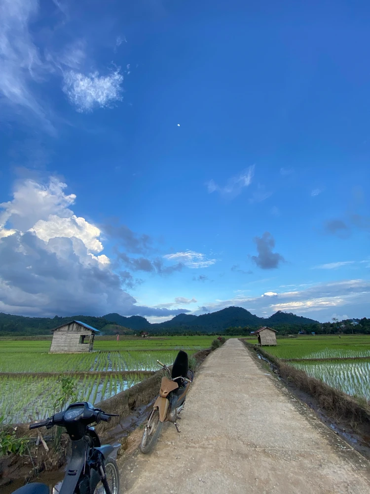 Gambar diunggah oleh Tari