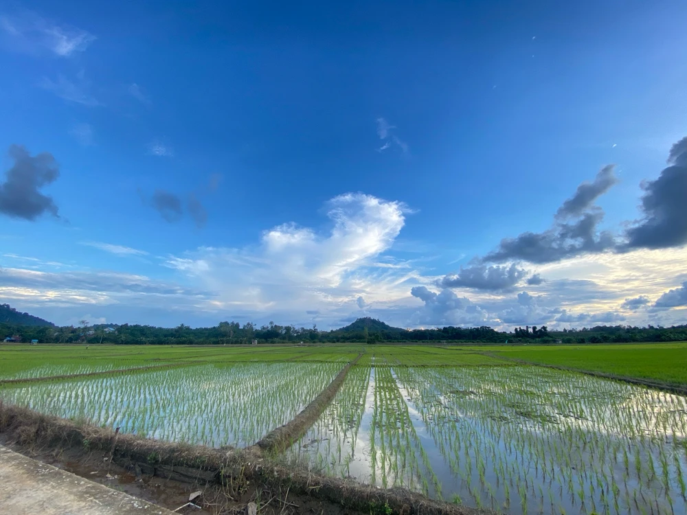 Gambar diunggah oleh Tari