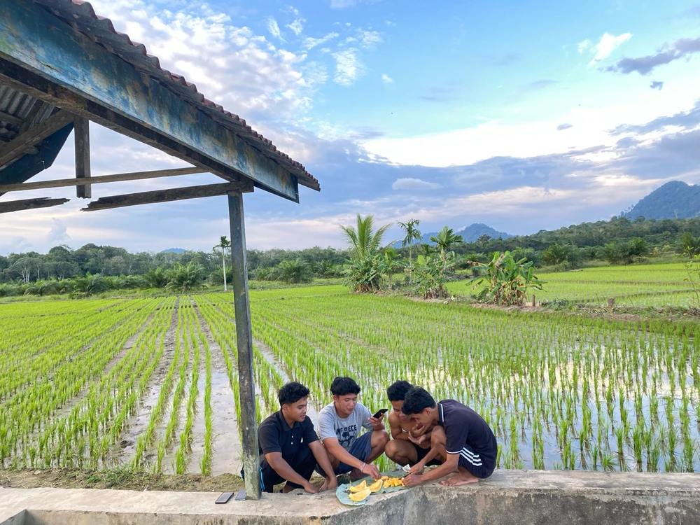 Gambar diunggah oleh Tari