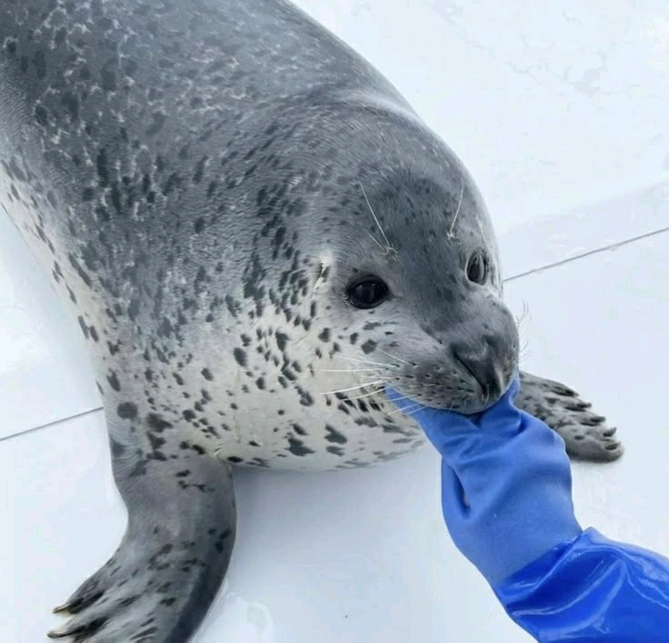 GIF uploaded by Roman