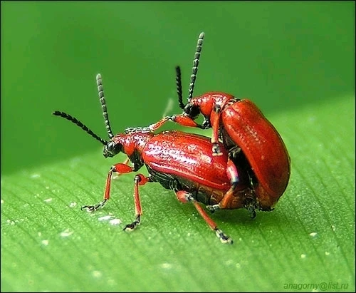 GIF uploaded by Alex