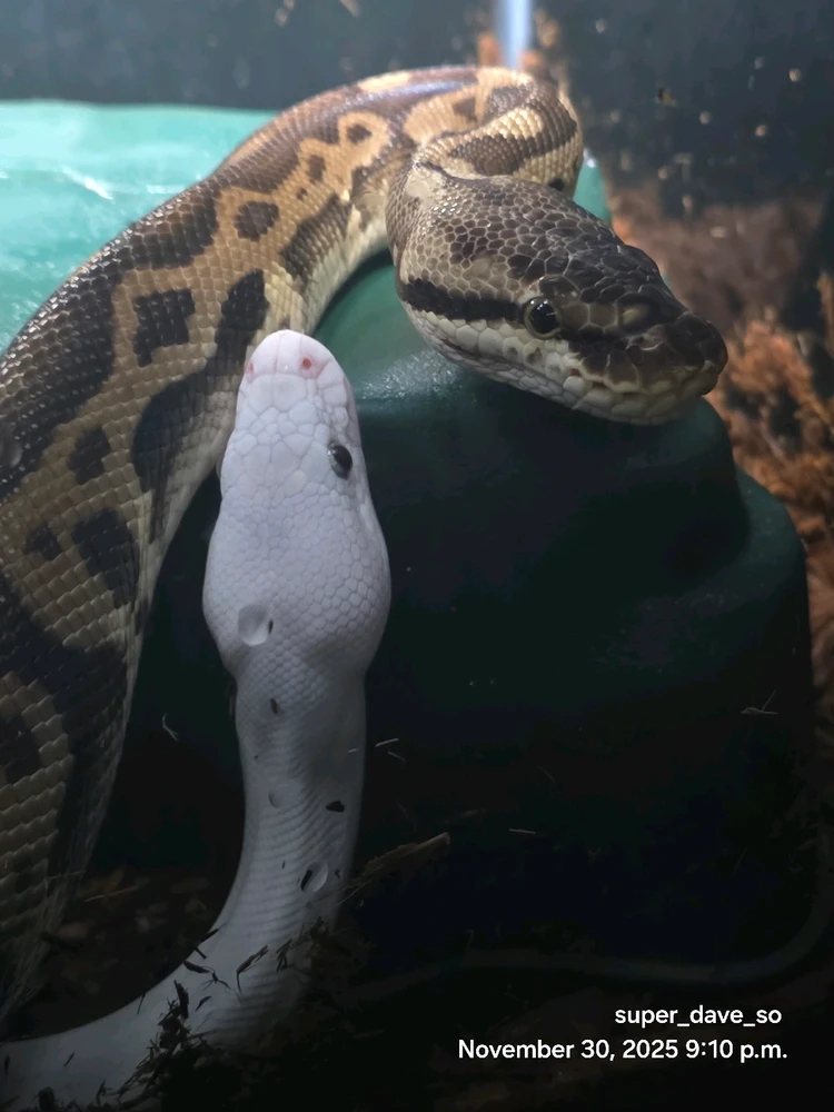 GIF uploaded by Dave