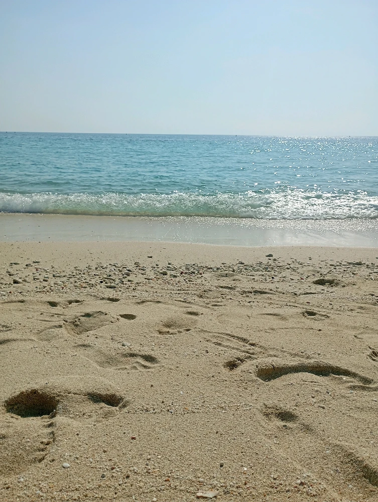 GIF uploaded by Omid