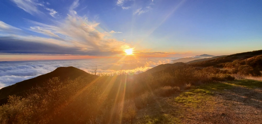 Image uploaded by Conlan