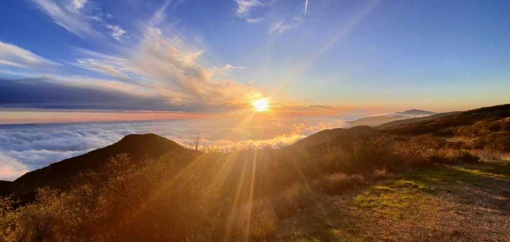 Image uploaded by Conlan