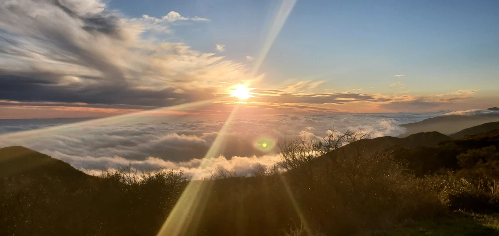 Image uploaded by Conlan