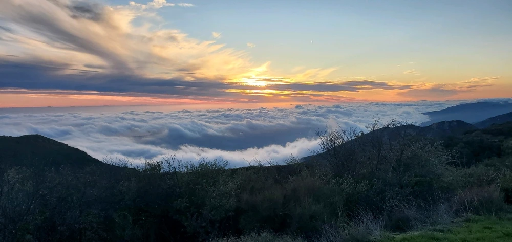 Image uploaded by Conlan