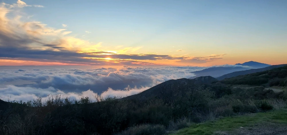 Image uploaded by Conlan