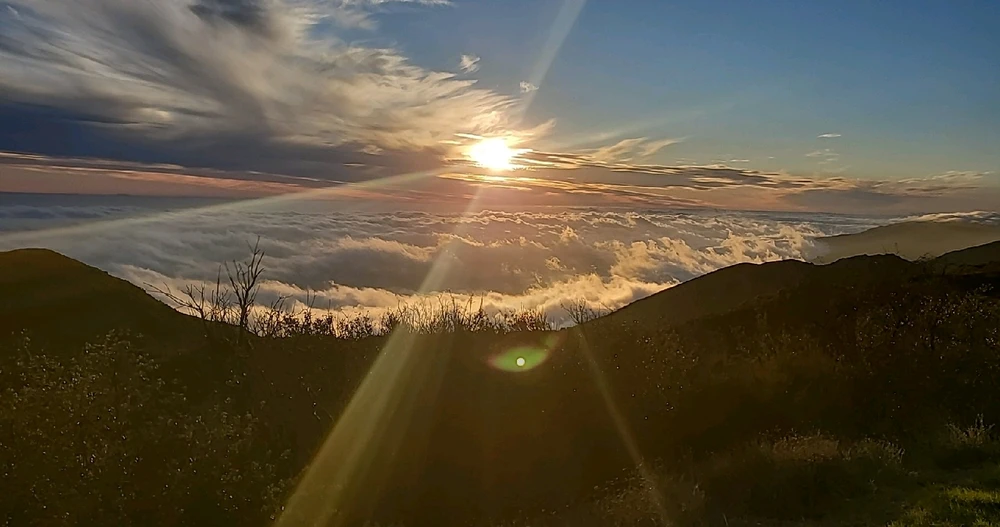 Image uploaded by Conlan