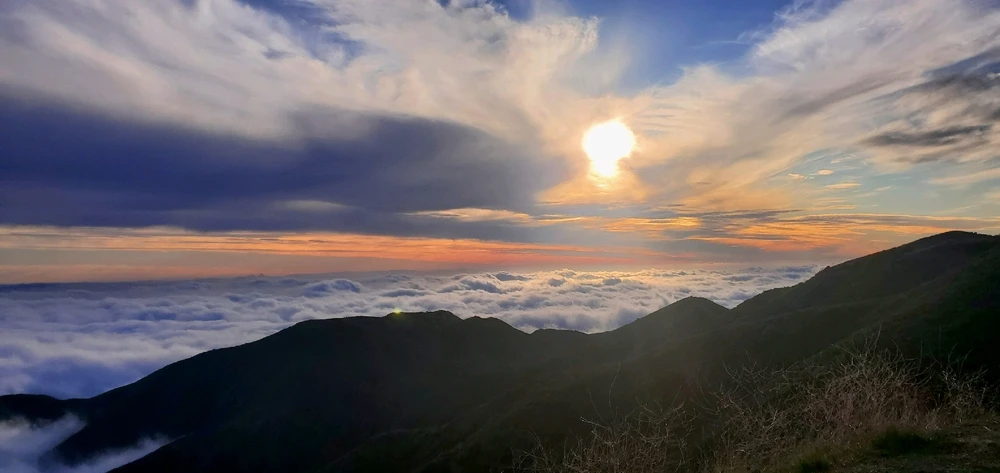 Image uploaded by Conlan