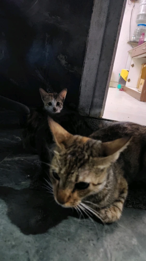 GIF uploaded by Rushi narale