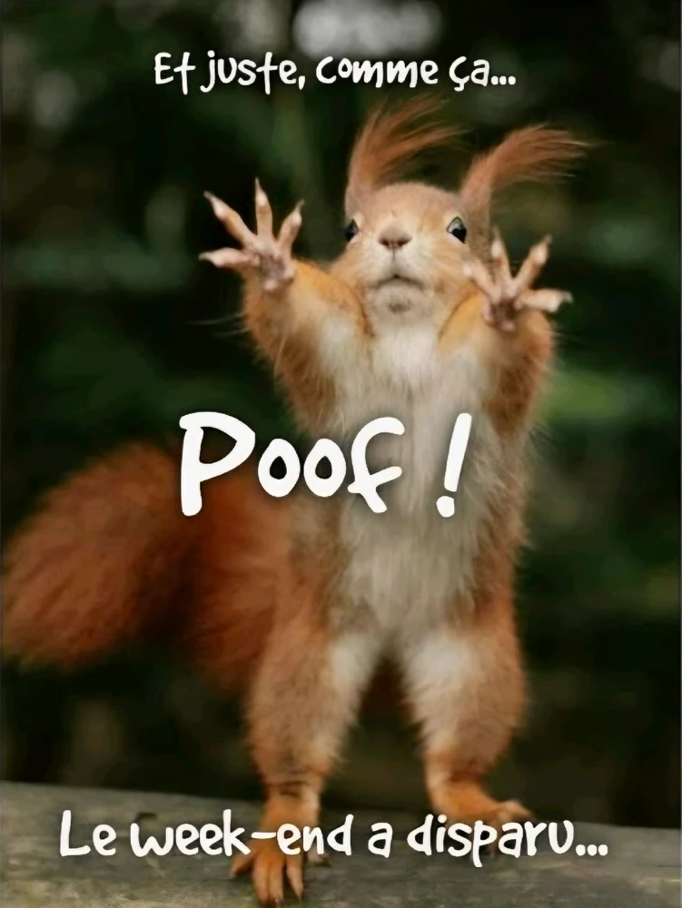 GIF ajouté par Edouard