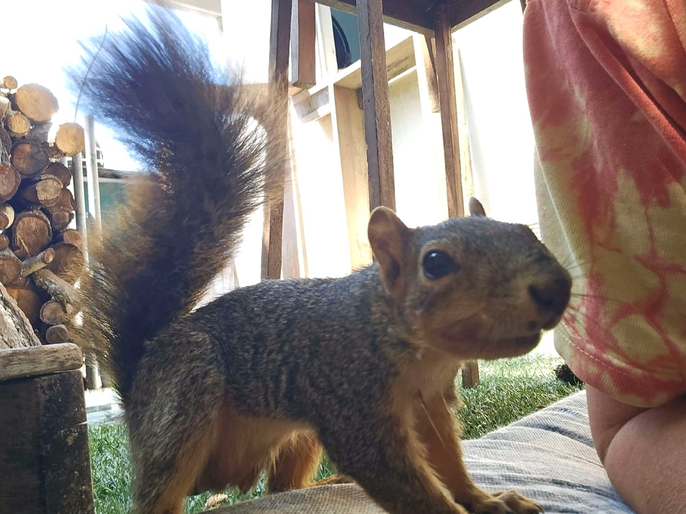 GIF uploaded by William