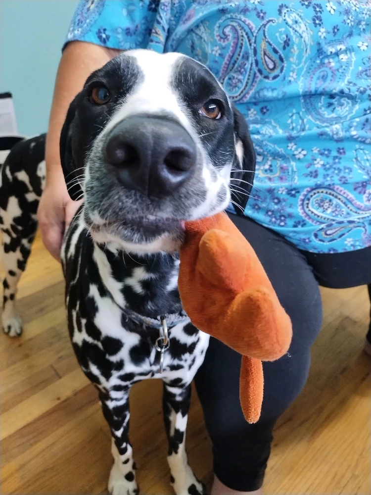 Image uploaded by Usagi