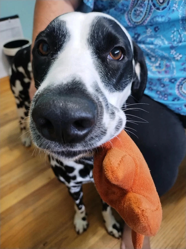 Image uploaded by Usagi