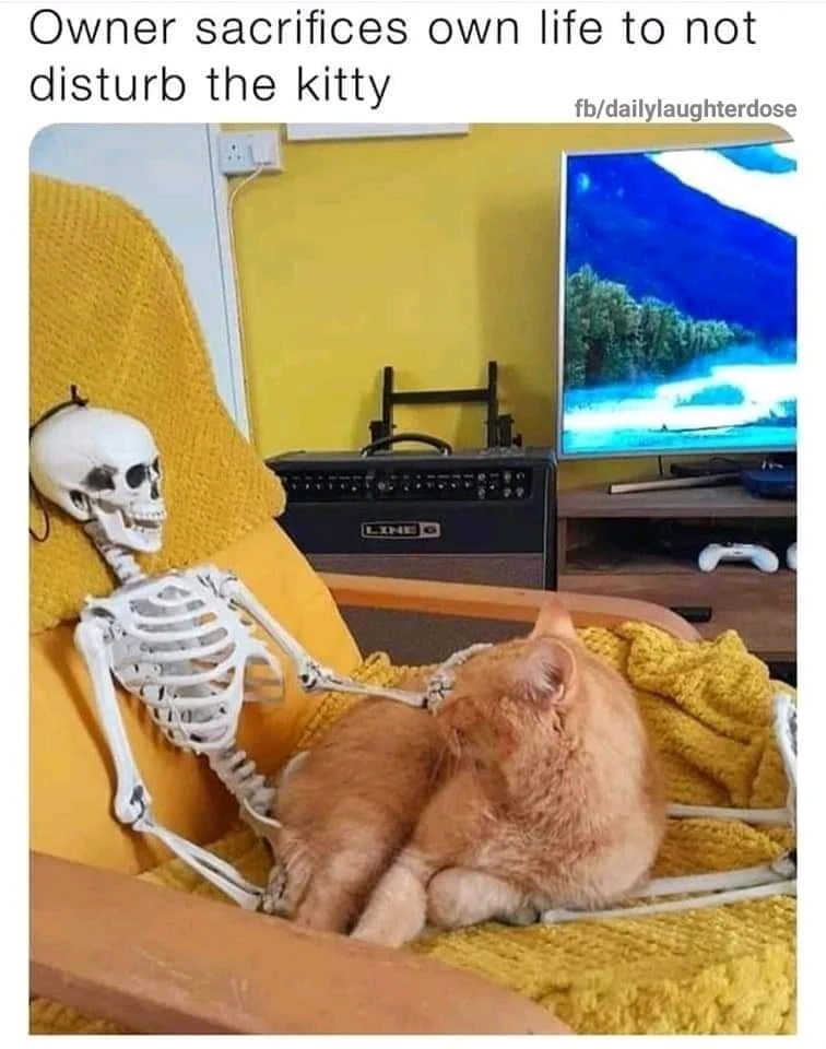 GIF gi-upload ni DoN