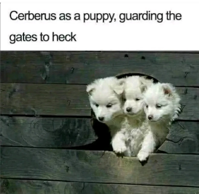 GIF hochgeladen von Marron