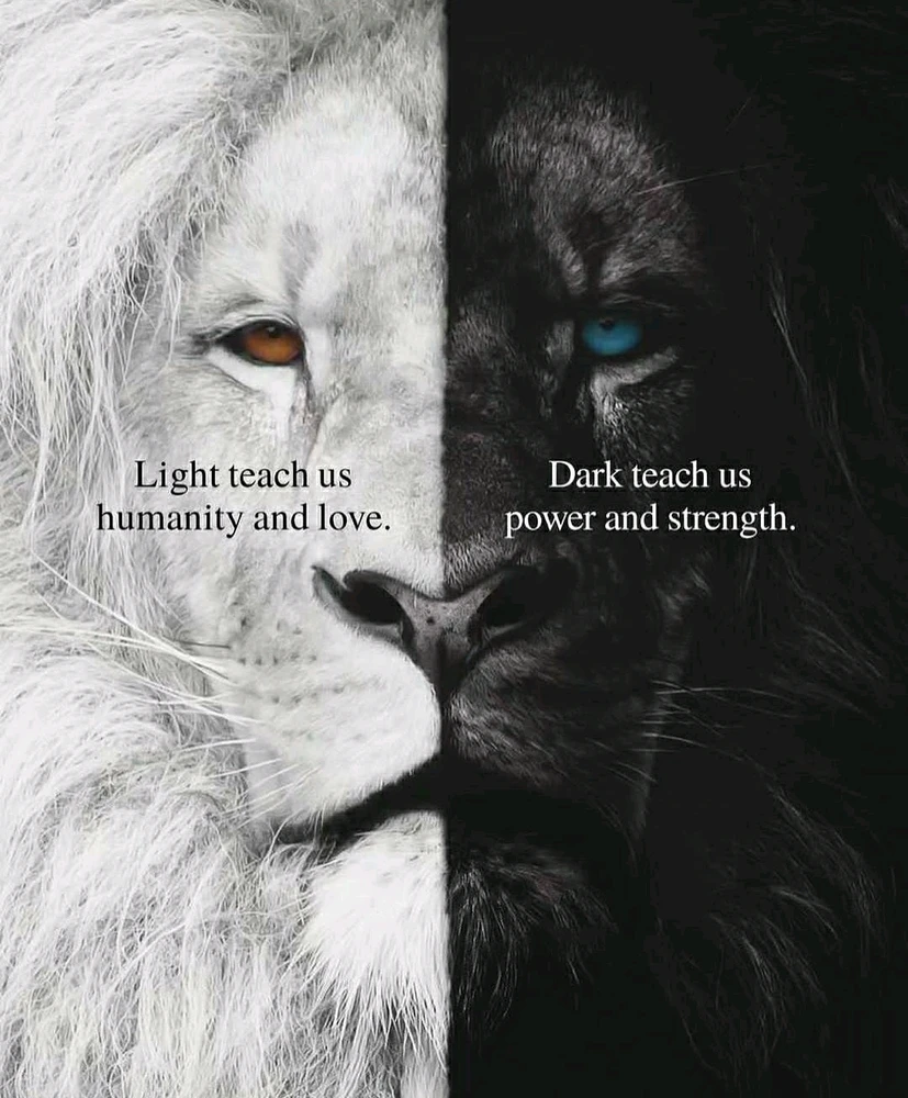 GIF ajouté par Saffiya