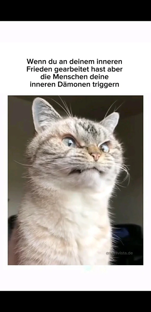 GIF hochgeladen von Marron