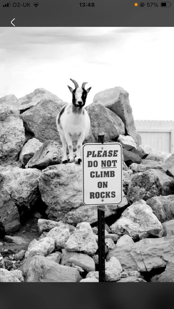 GIF uploaded by Leon Allen