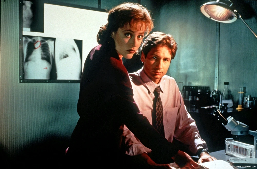 GIF nahrál Budu Mates