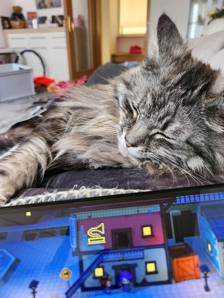 Bild hochgeladen von Katja