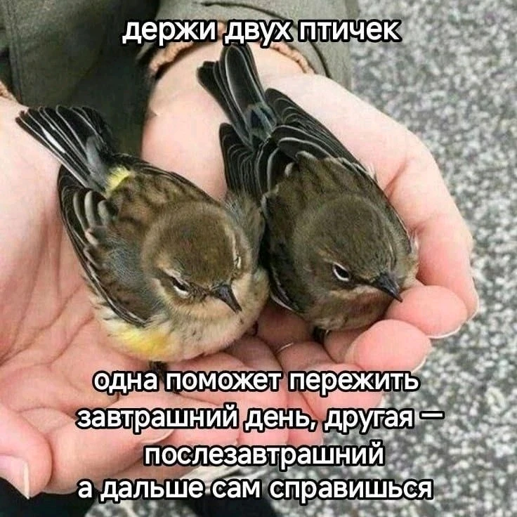 GIF загрузил Денис