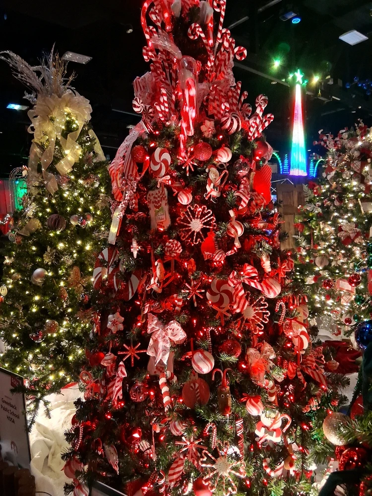 Gambar diunggah dening BJ