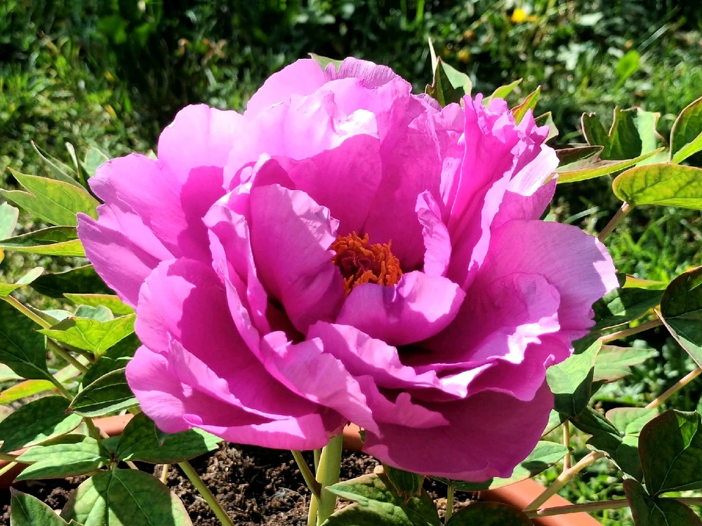 GIF caricata da Massimo