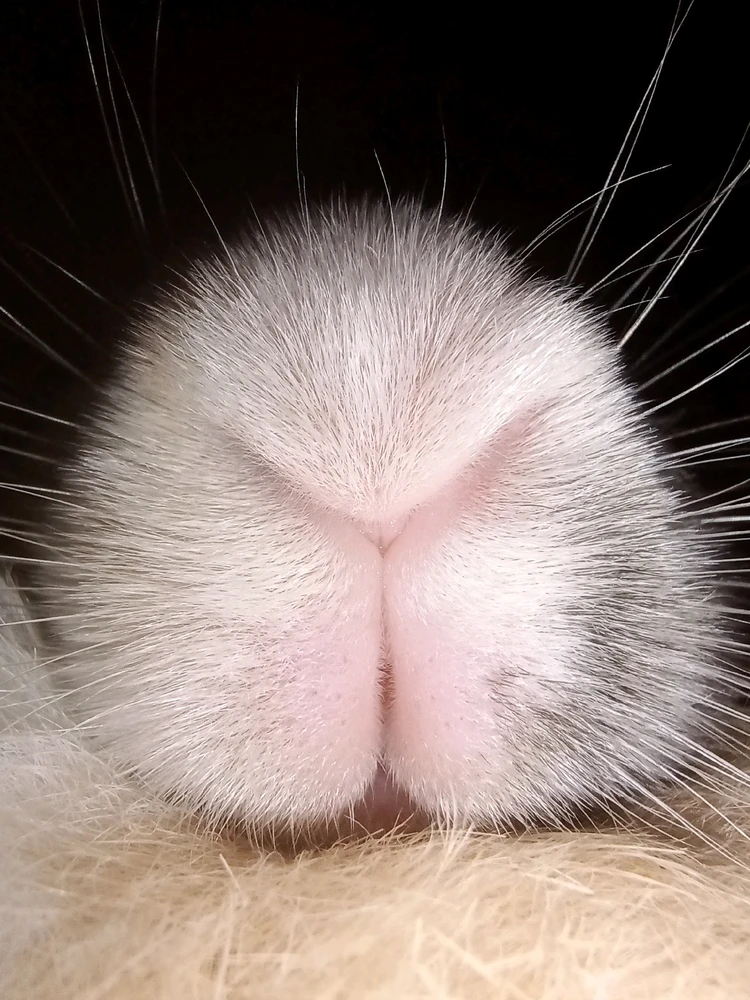 Gambar diunggah dening shortgirl