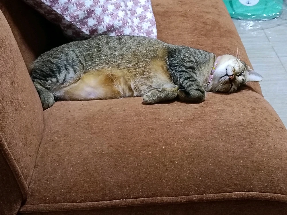 GIF uploaded by Maria