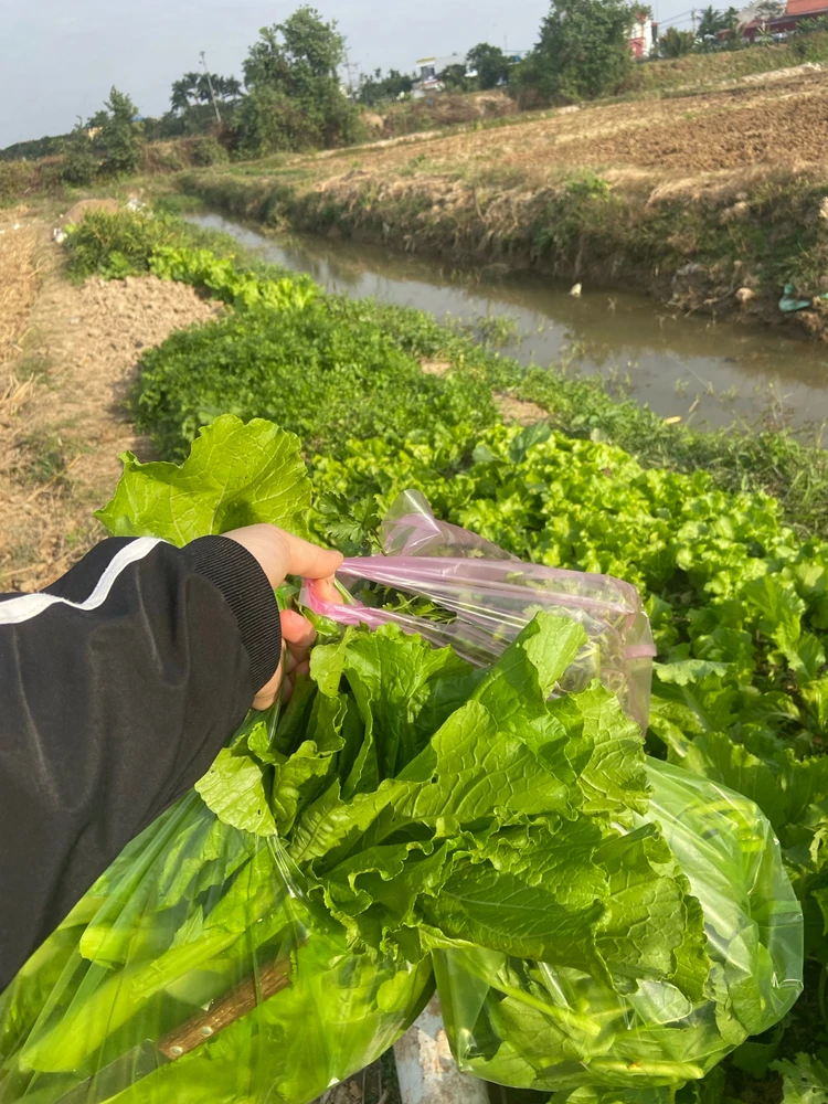 GIF được Duyên tải lên