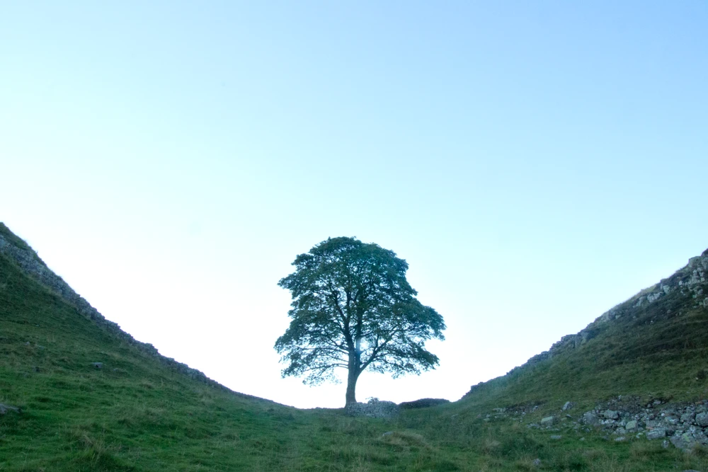 Image uploaded by Chris