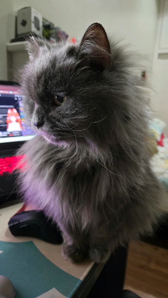 GIF uploaded by Aron