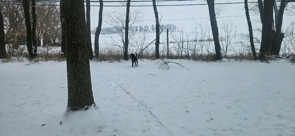 GIF uploaded by Alex