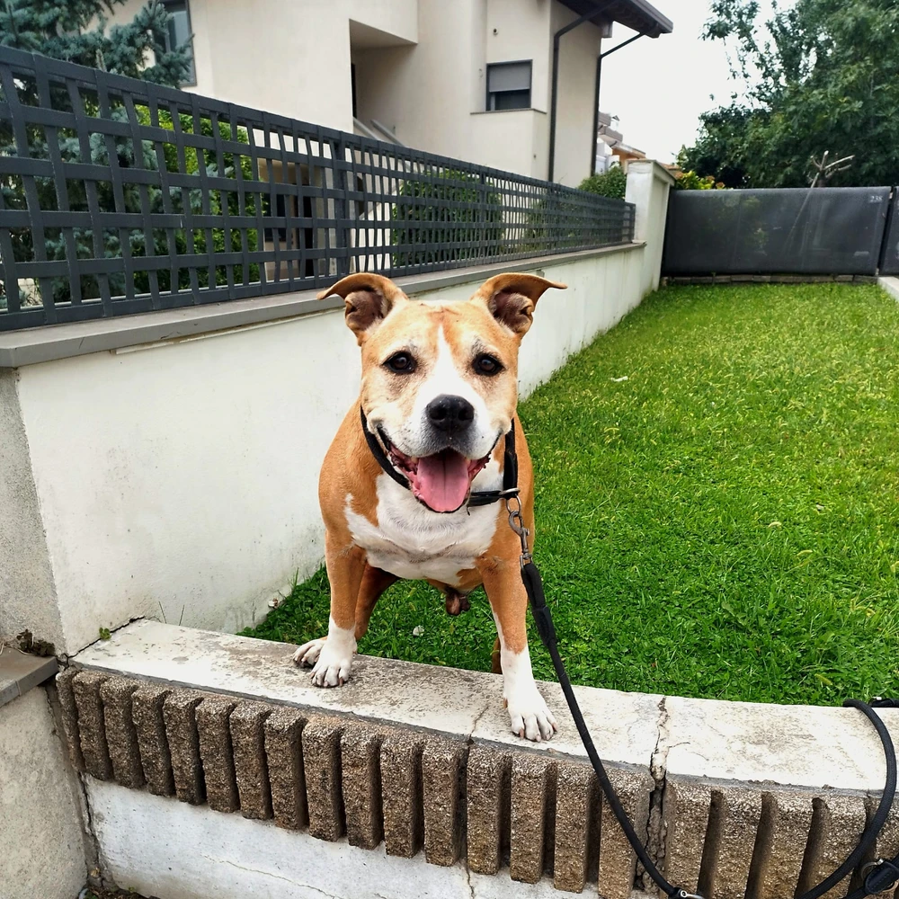 Immagine caricata da Peppe