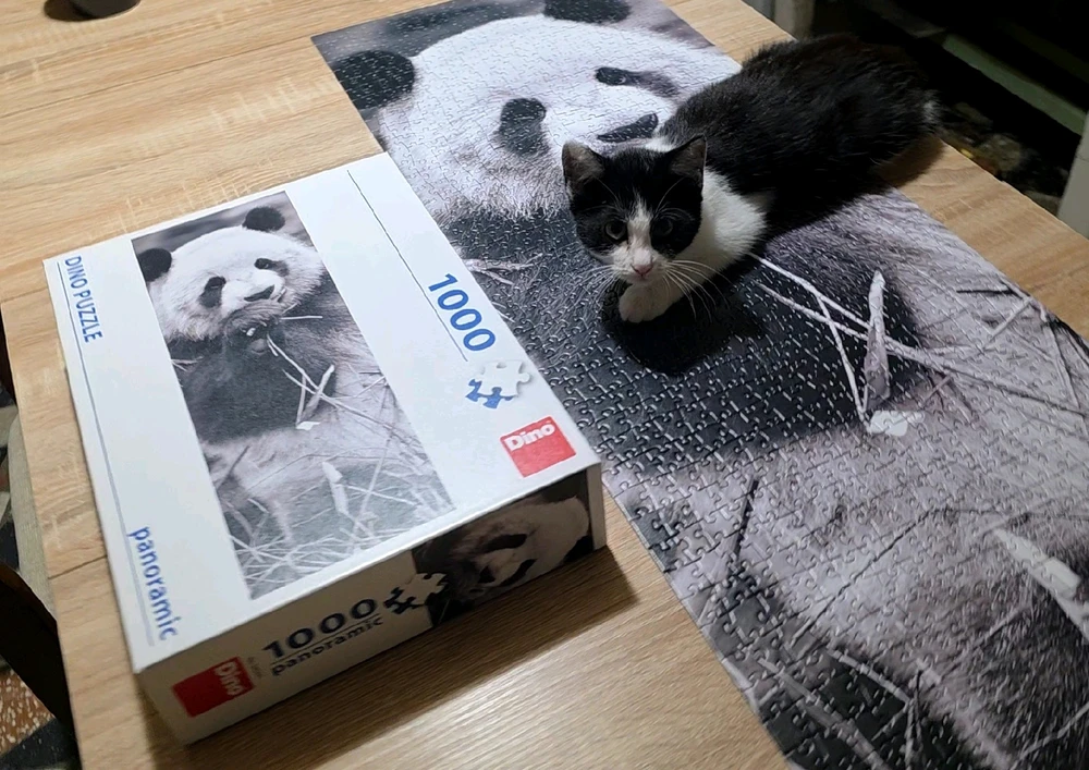 Gery által feltöltött kép