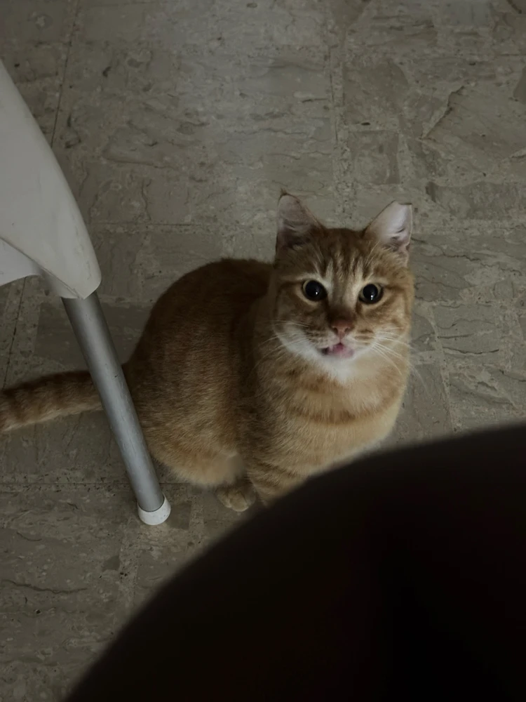 GIF subido por Antonio