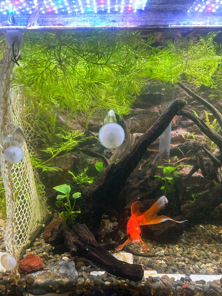 Image uploaded by Tiesha