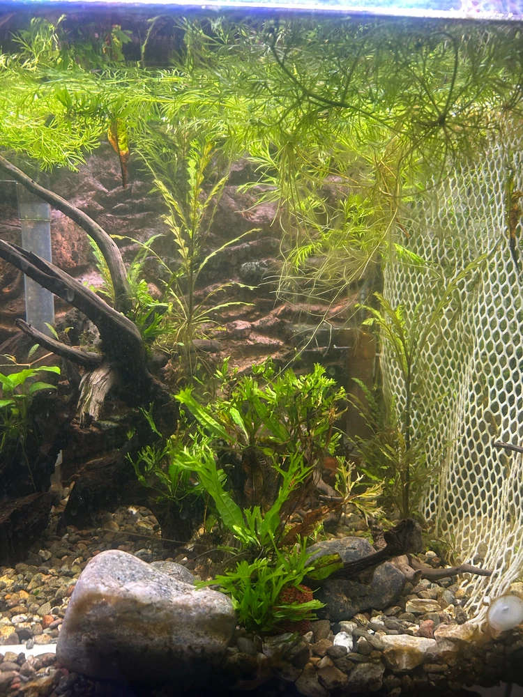 Image uploaded by Tiesha