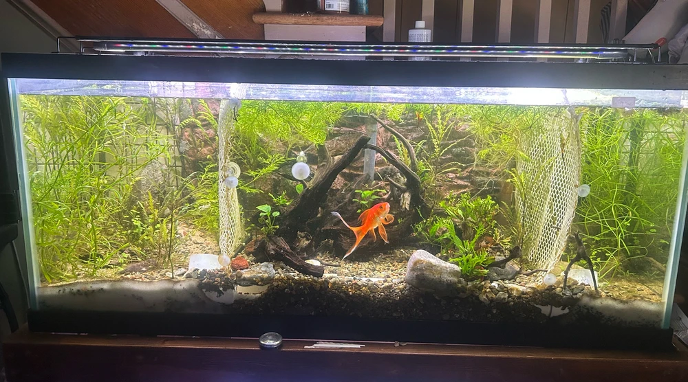 Image uploaded by Tiesha