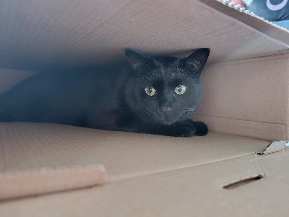 GIF nahrál ⭕⭕ Andrea