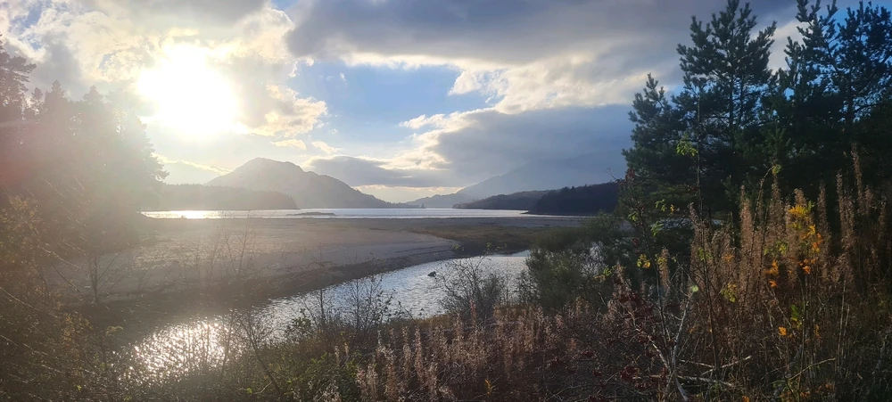 Image uploaded by Kyle