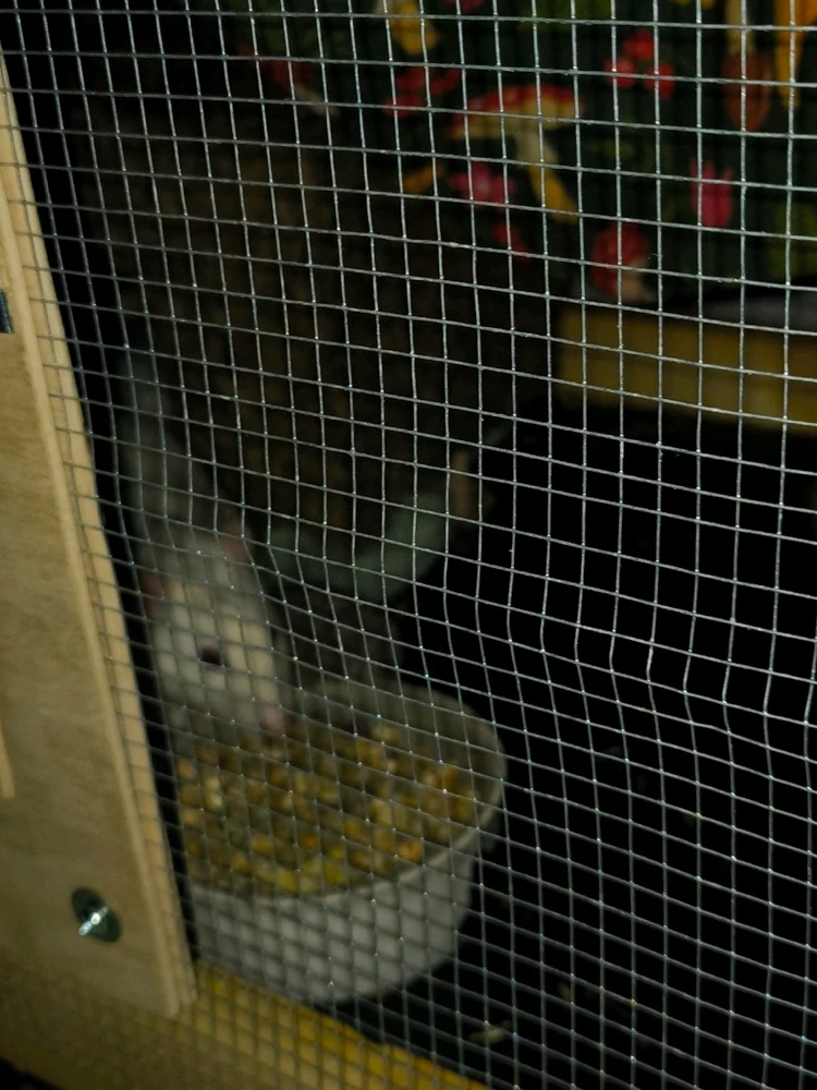 Bild hochgeladen von Luzi