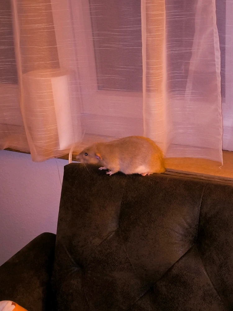 Bild hochgeladen von Luzi