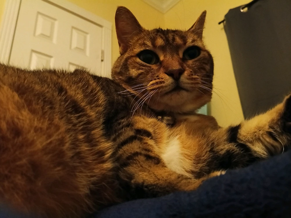 GIF uploaded by Mike