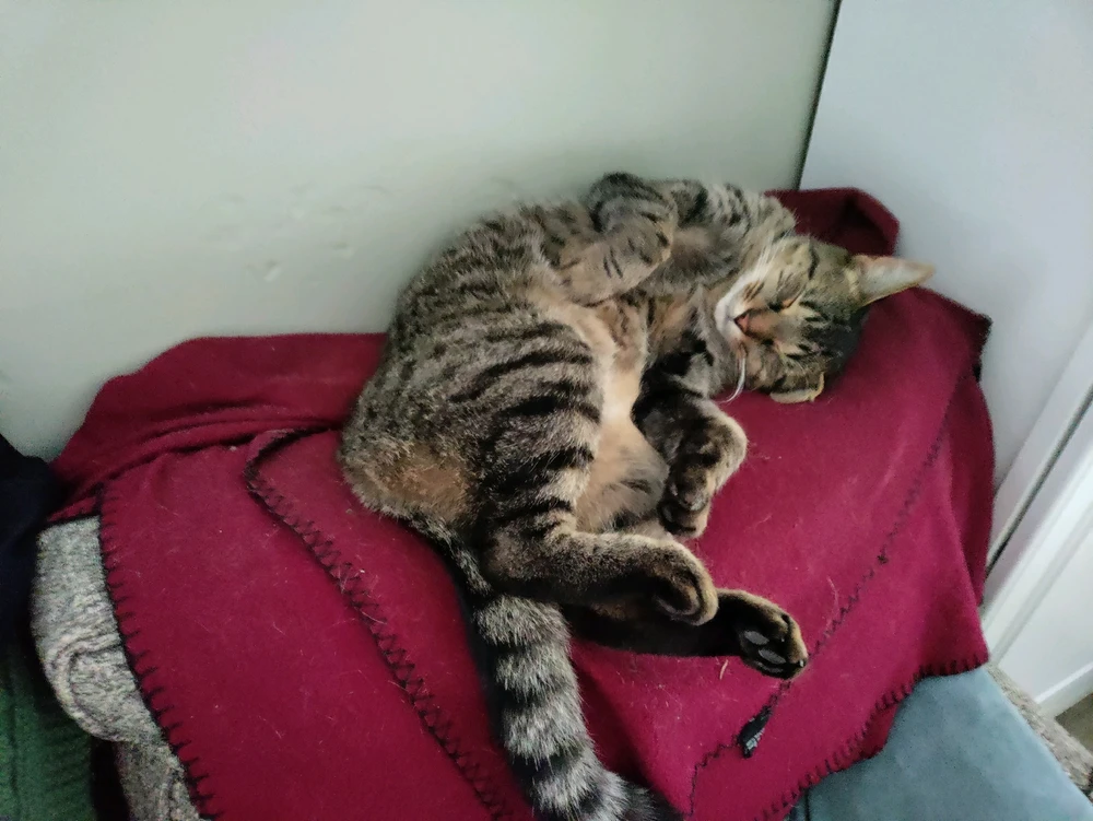 GIF diunggah dening Sean Barnhart