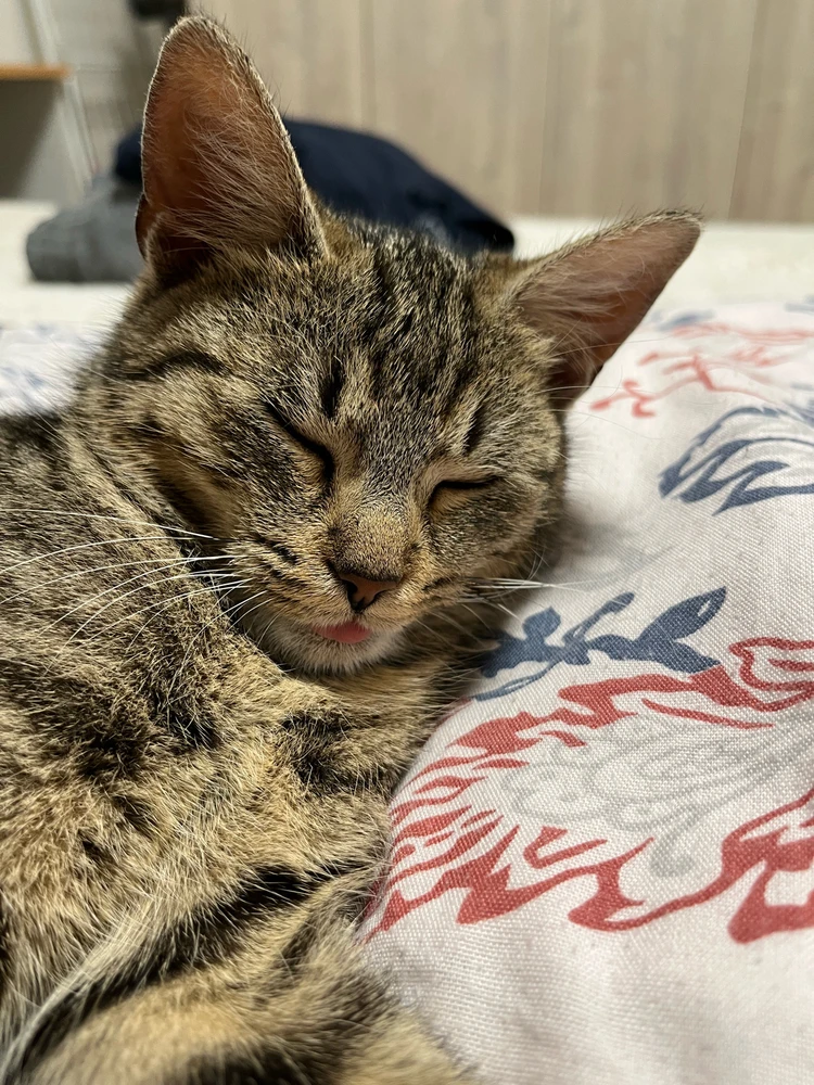 Obrázek nahrál Jakub