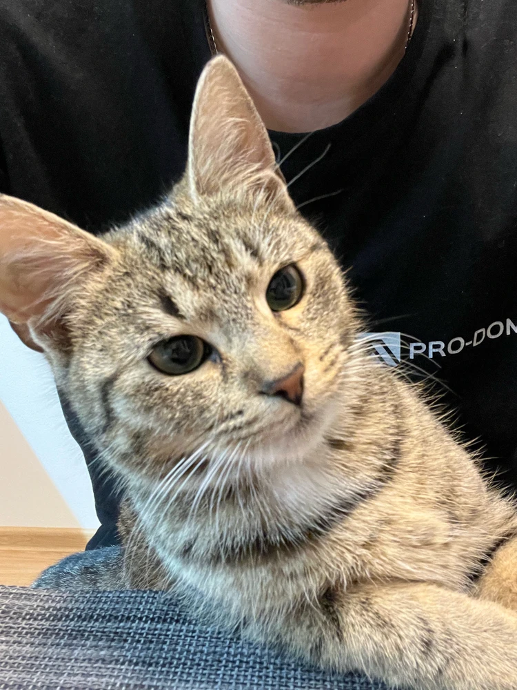 Obrázek nahrál Jakub