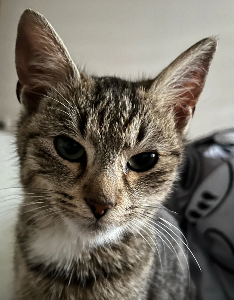 Obrázek nahrál Jakub